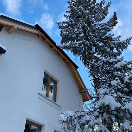Apartman 401 Mury